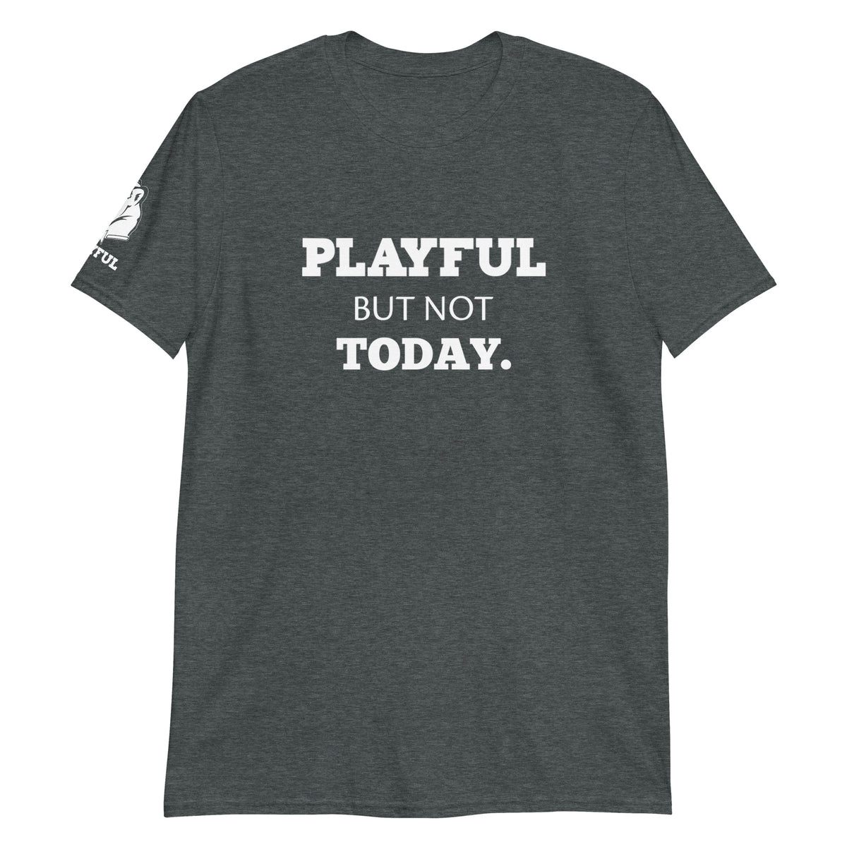 Playful But Not Today (Unisex) T-Shirt