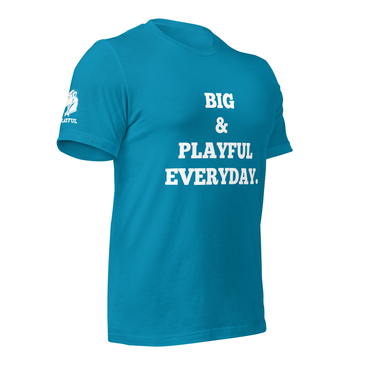 Big & Playful Everyday (Unisex) T-Shirt