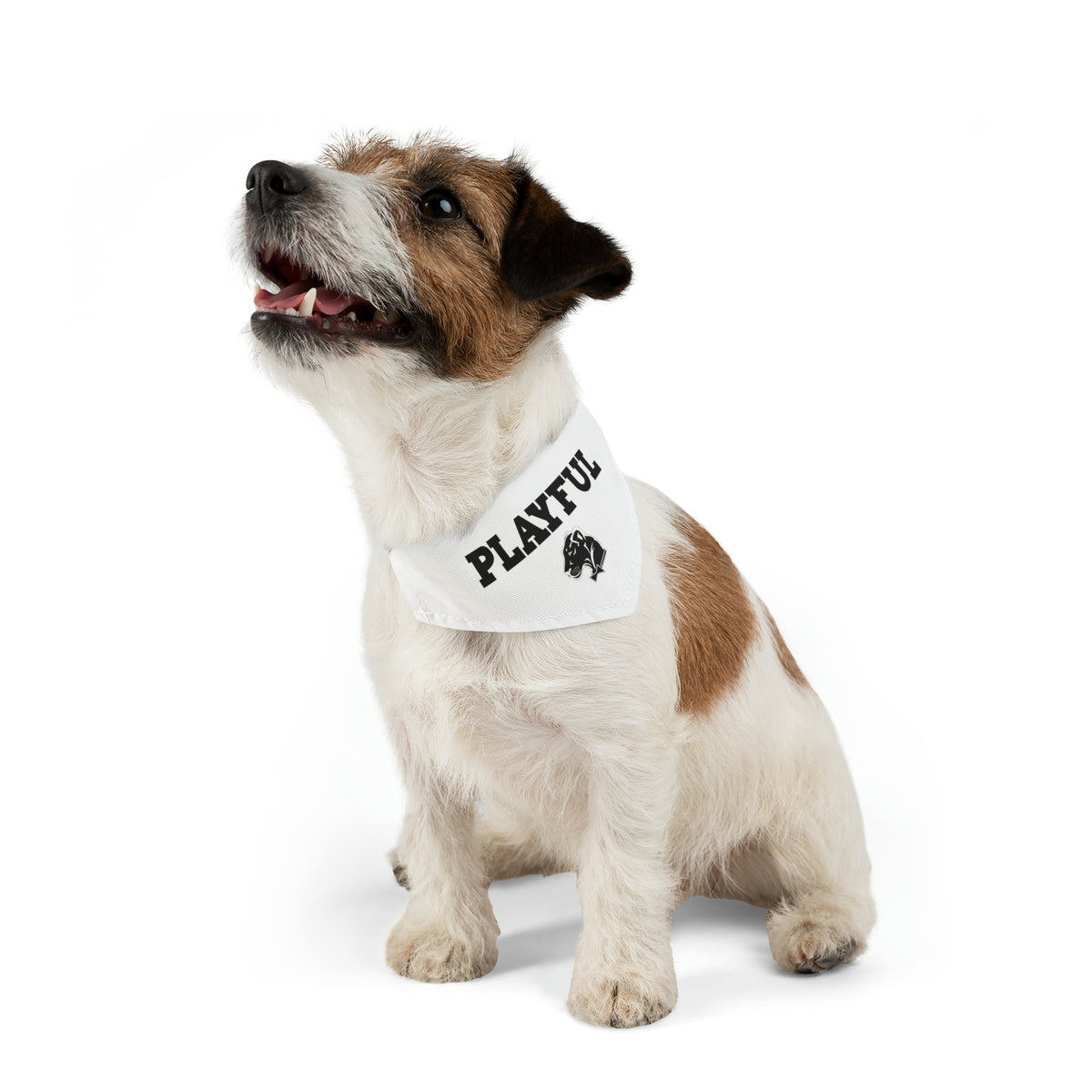 Playful Pet Bandana Collar