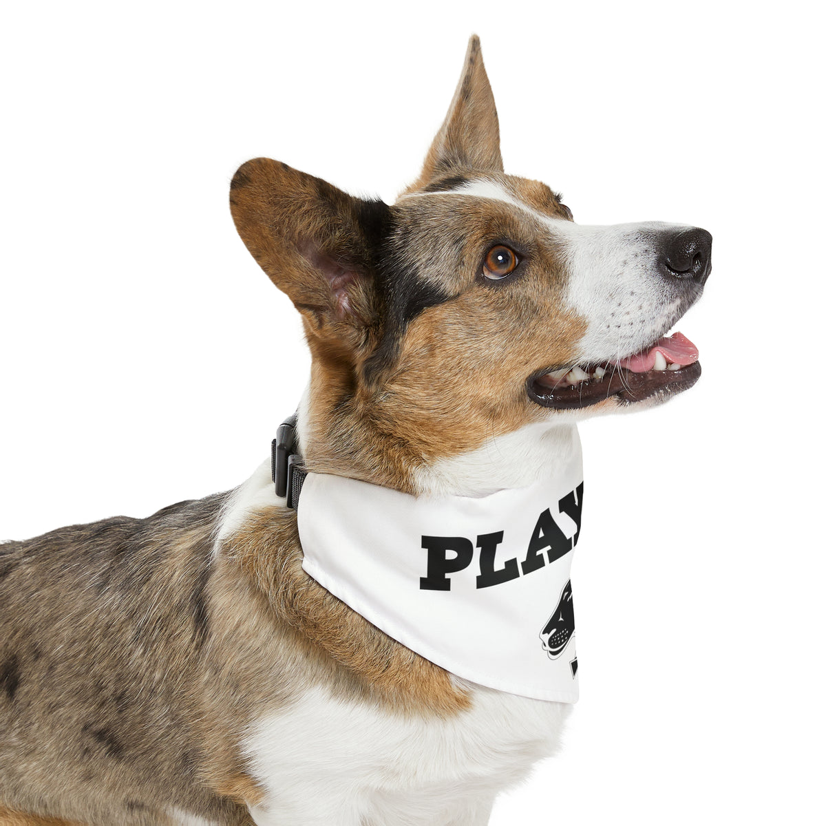 Playful Pet Bandana Collar