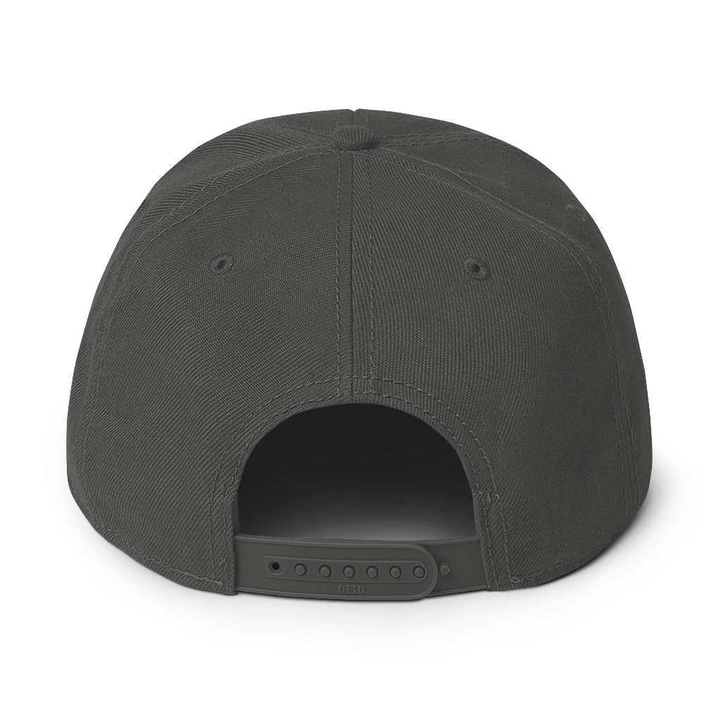 Playful Revolutionary Snapback Hat