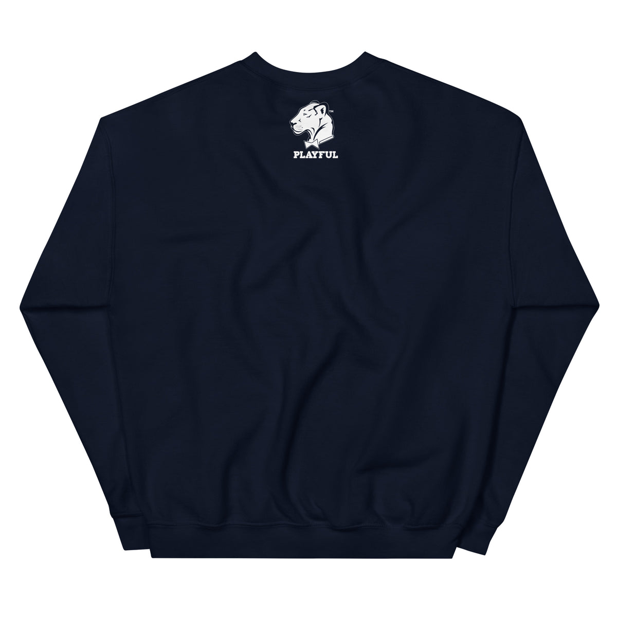 Playful X Playful (Unisex) Sweatshirt