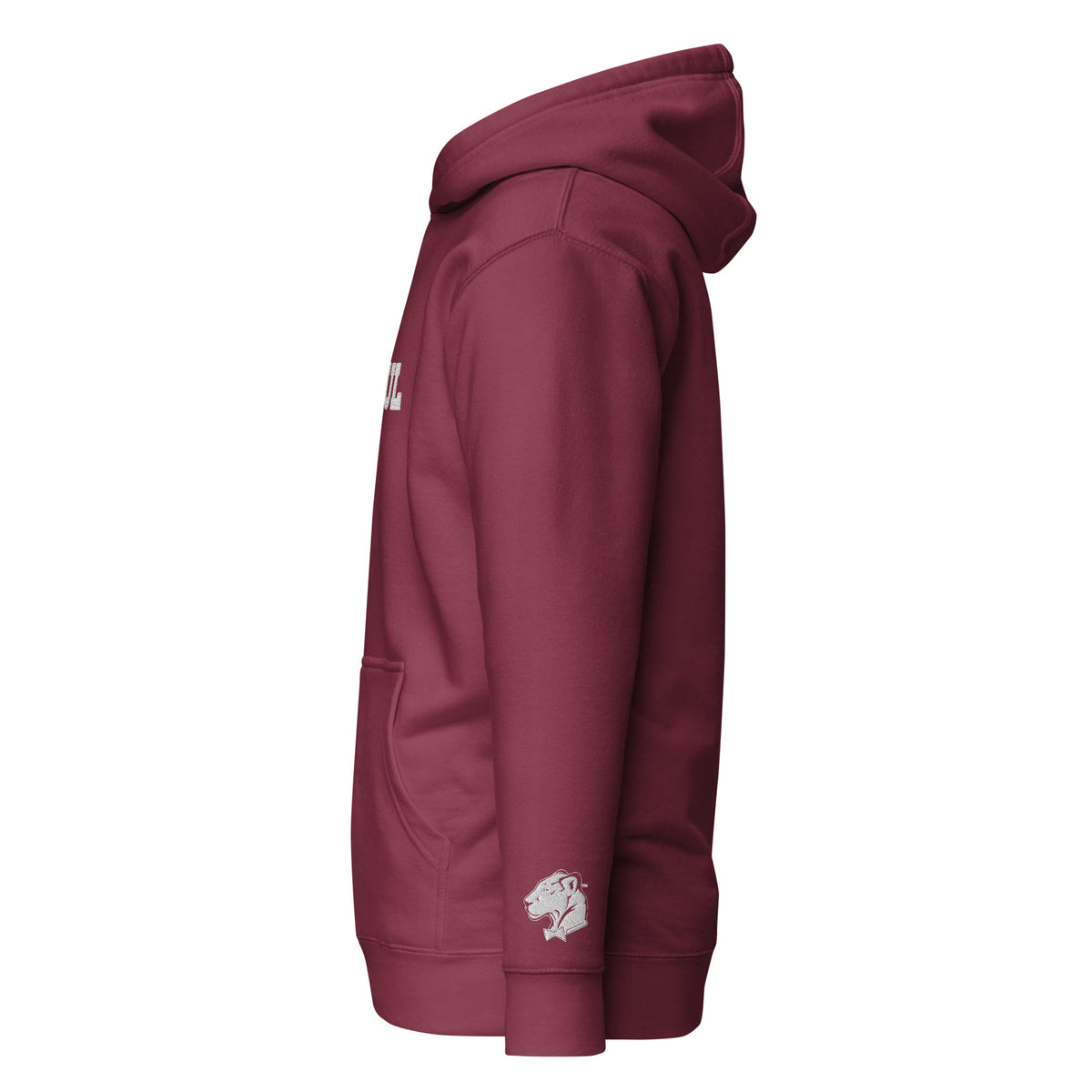 The Playful Unisex Embroidered Hoodie