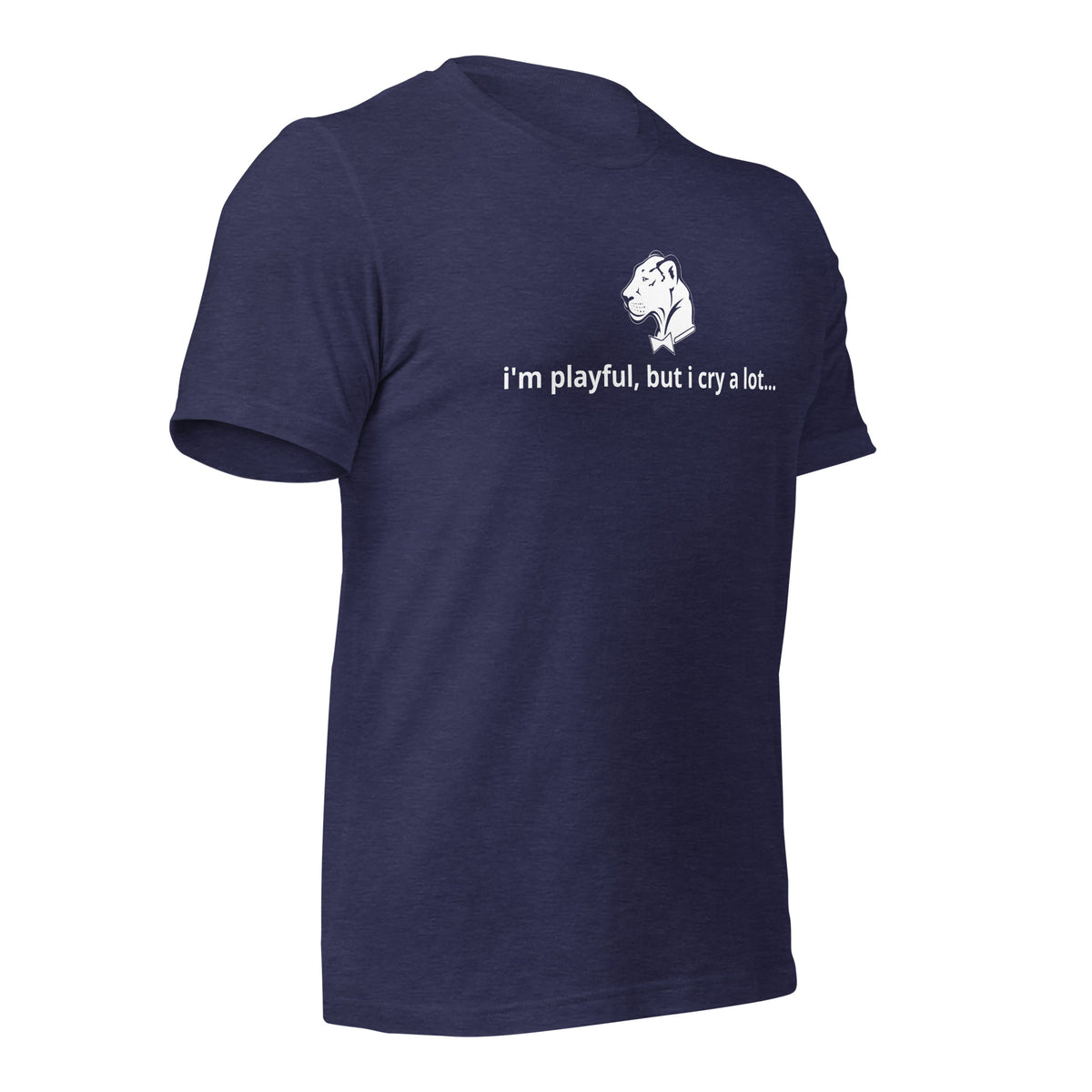 I'm Playful, But I Cry A Lot (Unisex) t-Shirt