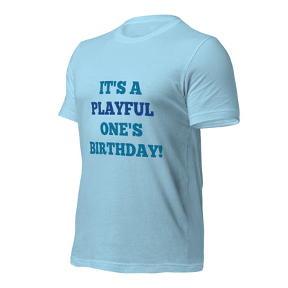 Ben Green It's A Playful One's Birthday Tee