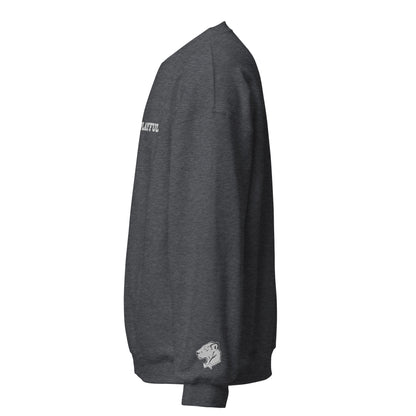 Playful Embroidered (Unisex) Sweatshirt