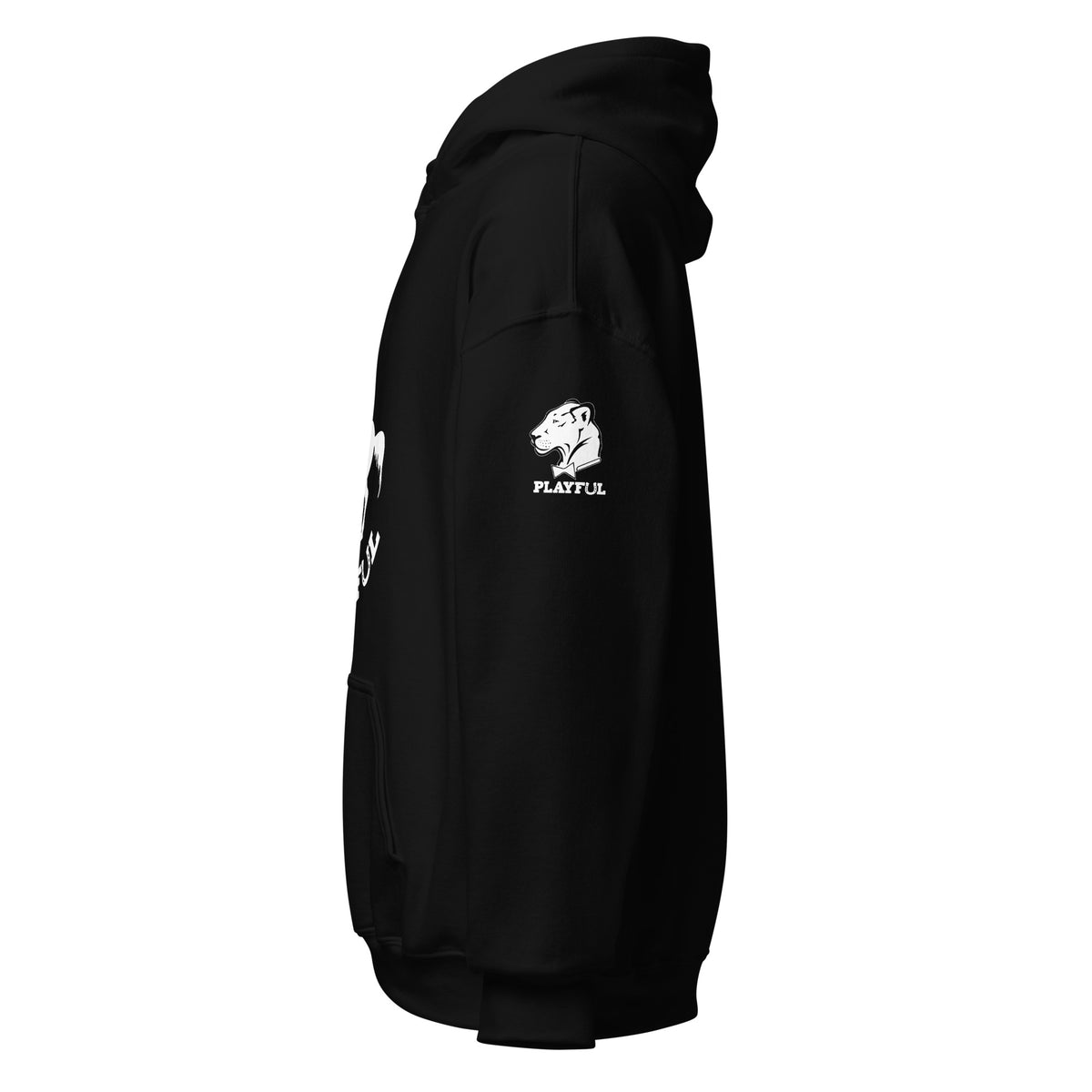 Playful Horse (Unisex) Hoodie