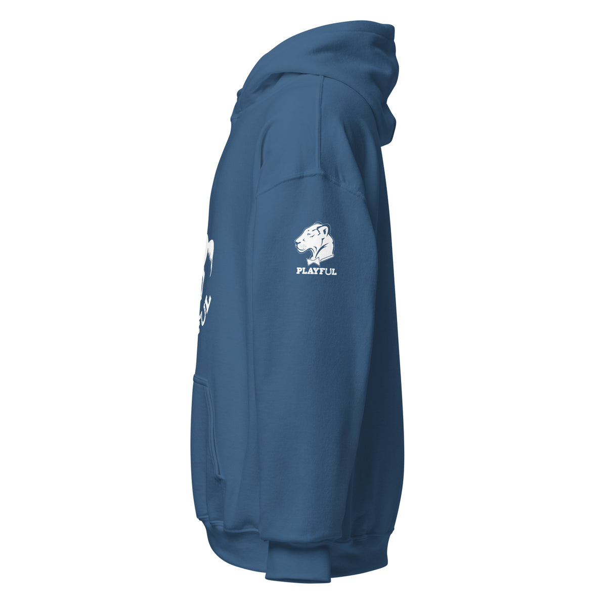 Playful Horse (Unisex) Hoodie
