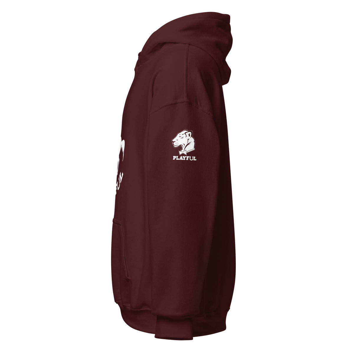 Playful Horse (Unisex) Hoodie